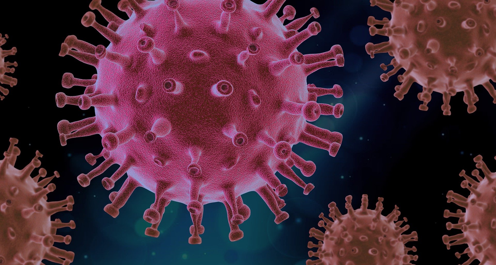 Le VIH est le virus responsable de l'infection qui peut déboucher sur le sida.