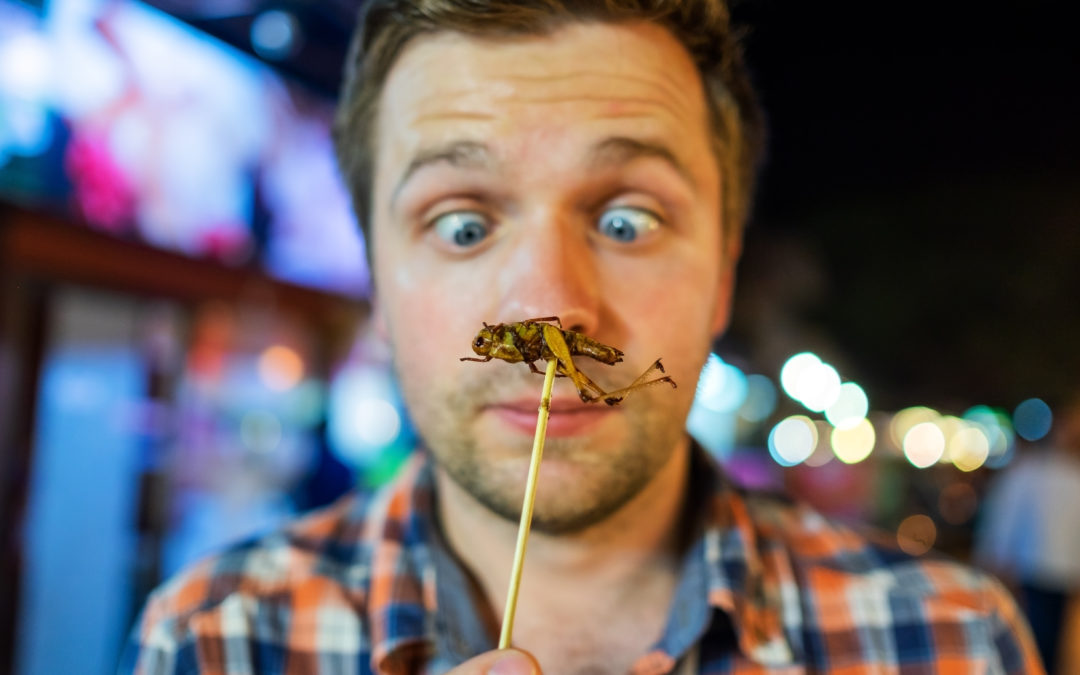 Insectes : la nourriture du futur ?